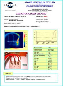 example thermo report